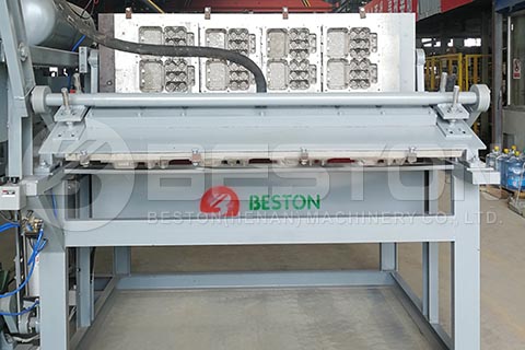 BTF-1-4 Egg Carton Machine to Spain