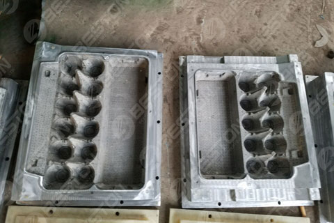 6-hole Egg Carton Mold